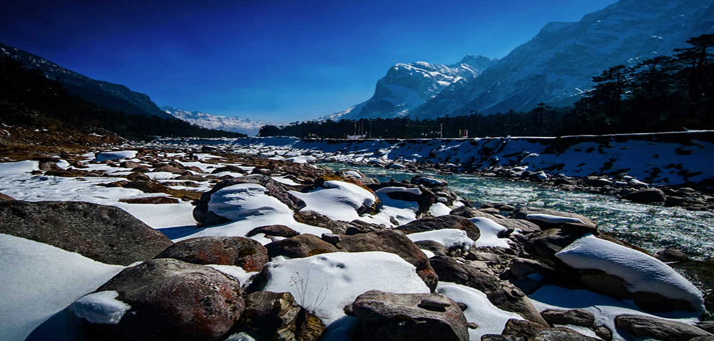 North East Delight with Lachung